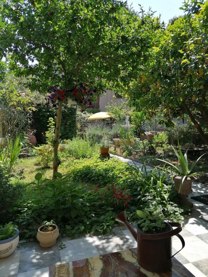 Eco Pisa Tower Guesthouse エクステリア 写真